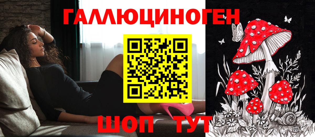 Астрахань  закладки  Вход с VPN  Псилоцибиновые грибы Psilocybe 